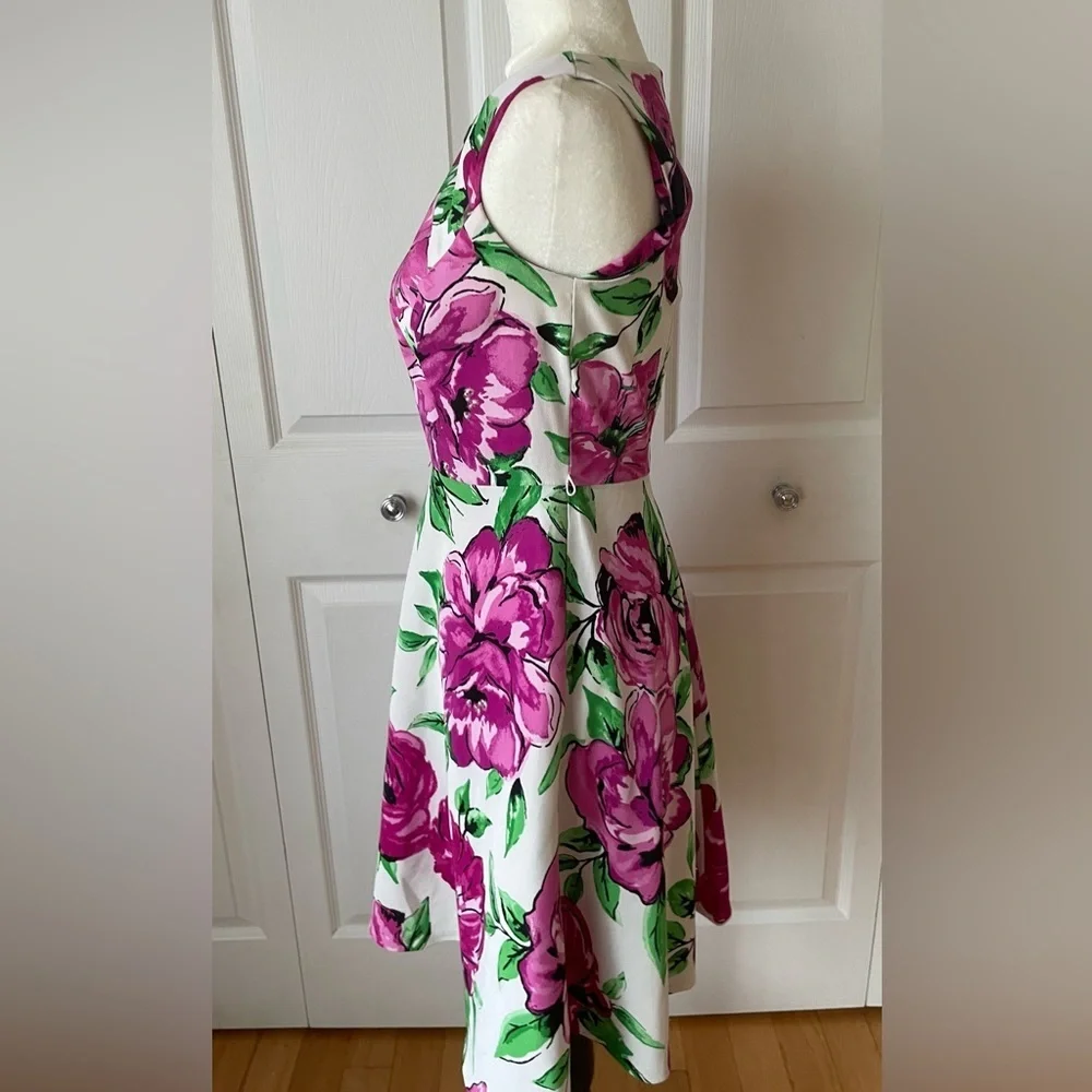 Alyx Dress Womens Fit Flare Stretch Belted Pleated Pink Floral Dress Size 4